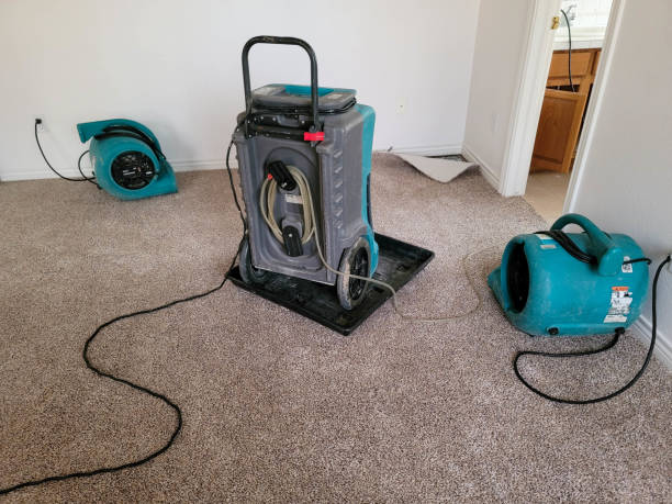  Gillette, NJ Water damage restoration Pros