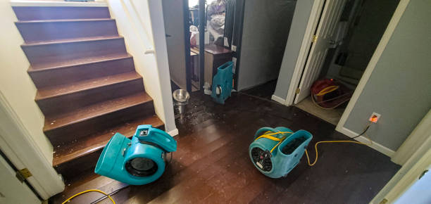 Trusted Gillette, NJ Water damage restoration Experts