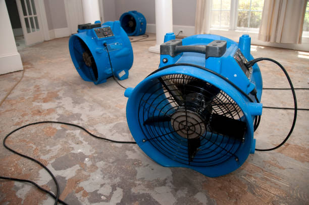 Best Mold removal after water damage  in Gillette, NJ