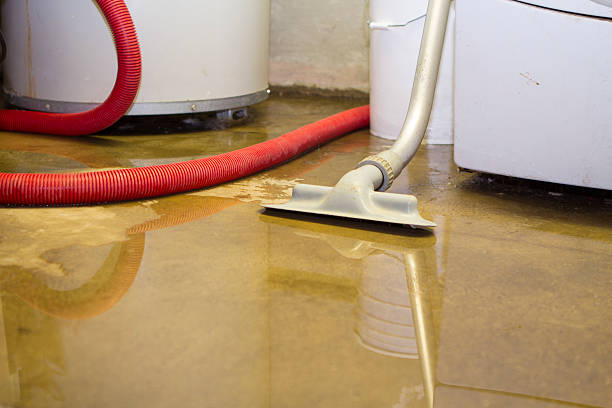 Best Residential water damage restoration  in Gillette, NJ