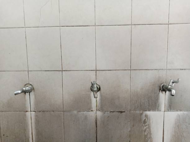 Best Flood damage cleanup  in Gillette, NJ
