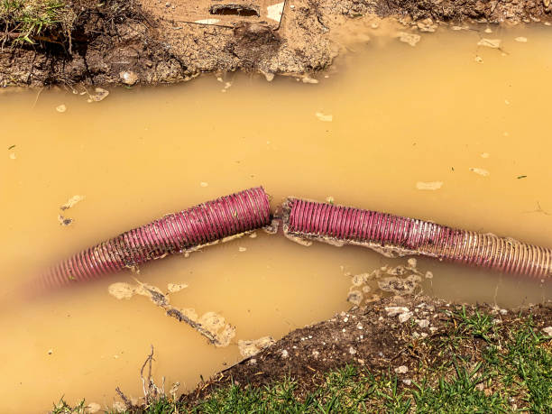 Best Flood restoration services  in Gillette, NJ