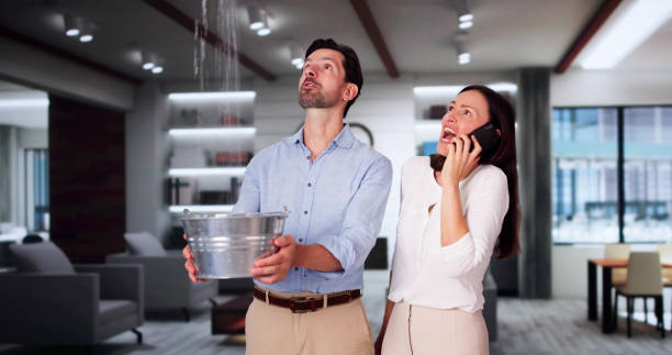 Best Water damage restoration near me  in Gillette, NJ