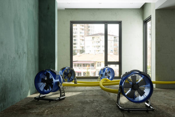 Best Professional water damage repair  in Gillette, NJ